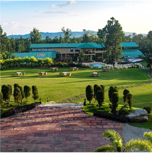 radish pod and tomato salad
